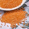 MIYUKI Delica Beads SEED-X0054-DB1573-1