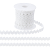 Polyamide Yarns Ribbon OCOR-PH0036-29B-1