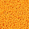 MIYUKI Round Rocailles Beads X-SEED-G008-RR4453-2