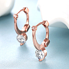 Fashion Popular Brass Micro Pave Cubic Zirconia Hoop Earrings EJEW-BB15420-5