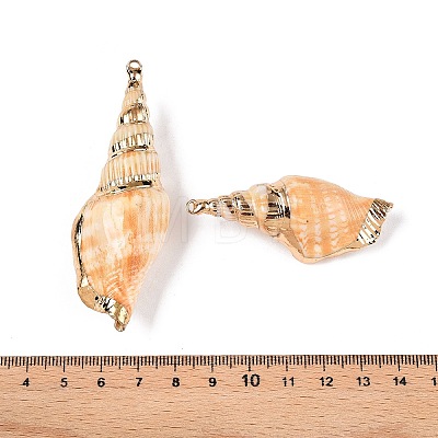 Natural Conch Shell Big Pendants SSHEL-N038-25-1