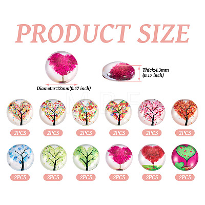 24Pcs 12 Style Glass Cabochon GLAA-TA0001-71-1