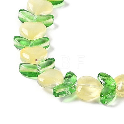 Transparent Glass Beads Strands GLAA-B021-04F-1