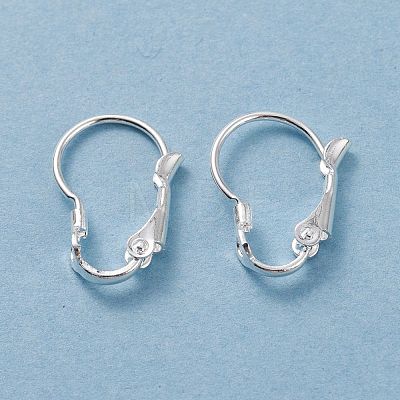 304 Stainless Steel Leverback Earring Findings STAS-H380-08S-1