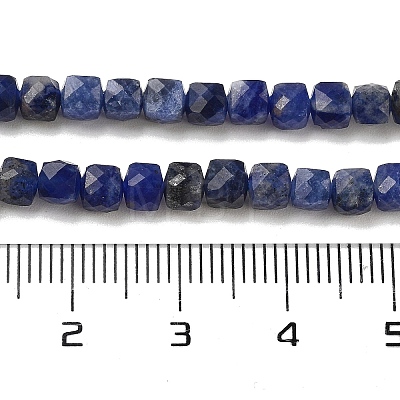 Natural Sodalite Beads Strands G-H042-A08-02-1