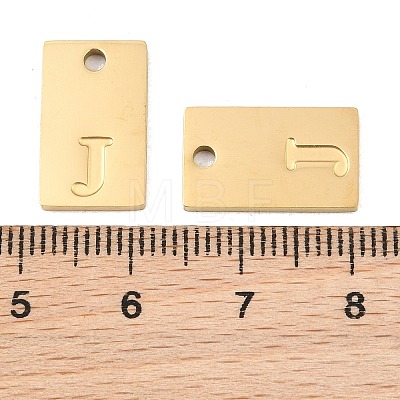304 Stainless Steel Pendants SA-CBA1839-21G-J-1