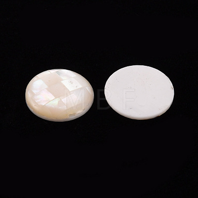 Natural White Shell Cabochons SSHEL-T014-34-1