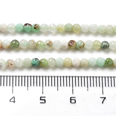 Natural Serpentine Beads Strands G-G161-D24-01-1