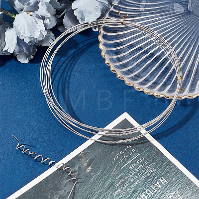 430 Stainless Steel Wire TWIR-WH0008-02P-1
