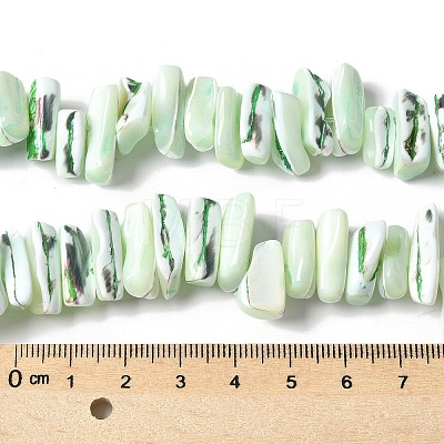 Dyed Natural Trochus Shell Beads Strands SSHEL-C013-09I-1