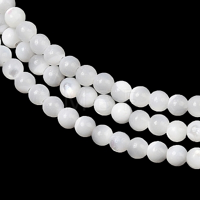 Natural White Shell Beads Strands G-A177-04-25-1