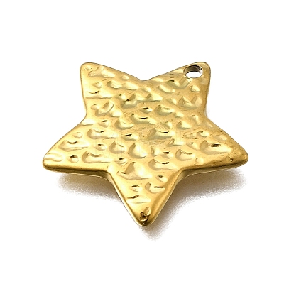304 Stainless Steel Pendants STAS-Z163-01G-01-1