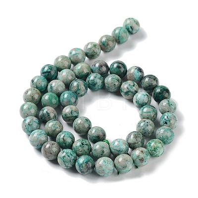 Natural Chrysocolla Beads Strands G-C093-A01-02-1
