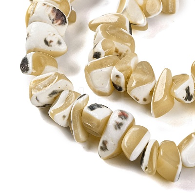 Natural Trochus Shell Beads Strands BSHE-S304-04-1