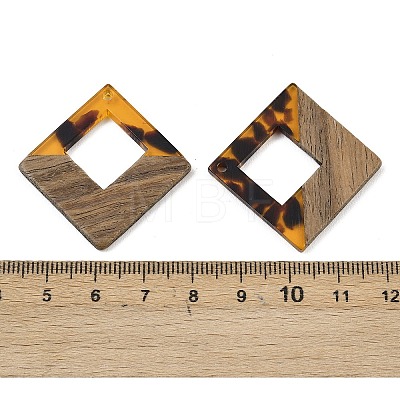 Transparwnt Resin & Walnut Wood Pendants RESI-I354-03H-1