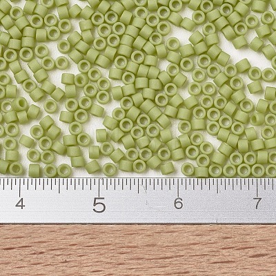 MIYUKI Delica Beads X-SEED-J020-DB2290-1