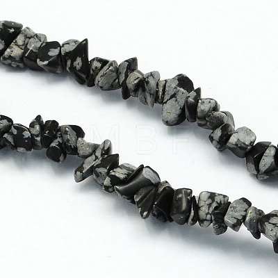 Natural Snowflake Obsidian Stone Bead Strands X-G-R192-A02-1