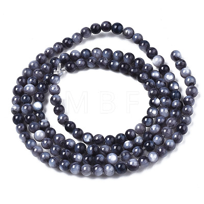 Natural Freshwater Shell Beads Strands X-BSHE-T009A-01L-1