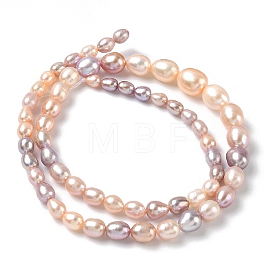 Natural Cultured Freshwater Pearl Beads Strands PEAR-C004-16-1