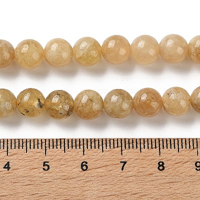 Natural Yellow Garnet Beads Strands G-Z129-C01-8mm-01-1