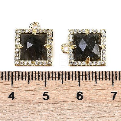 Natural Labradorite Faceted Square Charms G-I375-06G-08-1