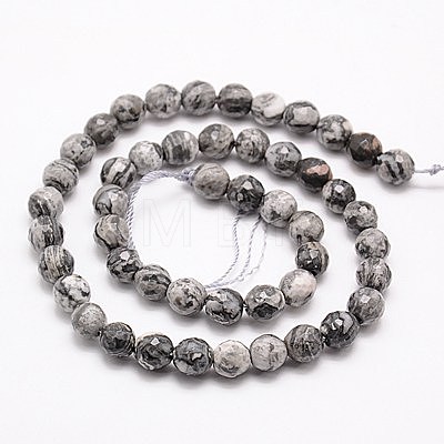 Natural Map Stone/Picasso Stone/Picasso Jasper Beads Strands G-G542-8mm-33-1