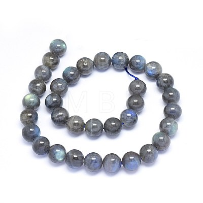 Natural Labradorite Beads Strands G-F602-04-8mm-01-1