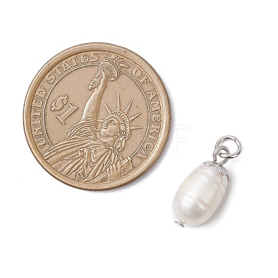 Natural Pearl Pendants PALLOY-JF04618-1