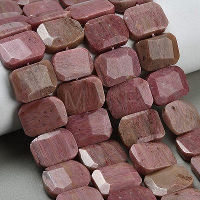 Natural Rhodonite Beads Strands G-C285-A05-01-1