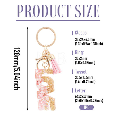 Alloy & Resin Tassel Keychainss AJEW-TADJ0001-20G-06-1