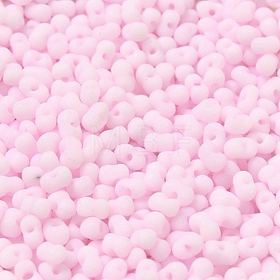Glass Frosted Seed Beads SEED-K009-05B-02-1