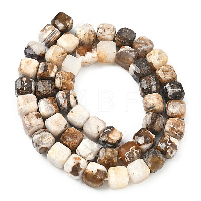 Natural Petrified Wood Beads Strands G-C267-A06-1