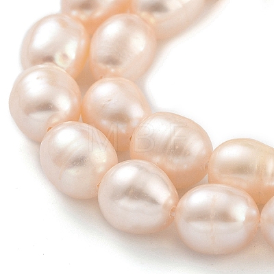 Natural Cultured Freshwater Pearl Beads Strands PEAR-P062-10A-1