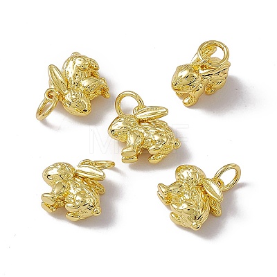 Rack Plating Brass Charms X-KK-C007-17G-1