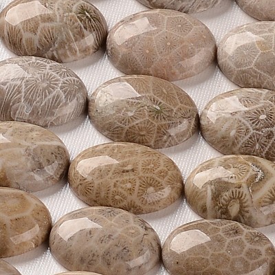 Oval Natural Fossil Coral Cabochons X-G-J329-20-13x18mm-1