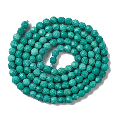 Natural Howlite Beads Strands G-C025-02B-08-1