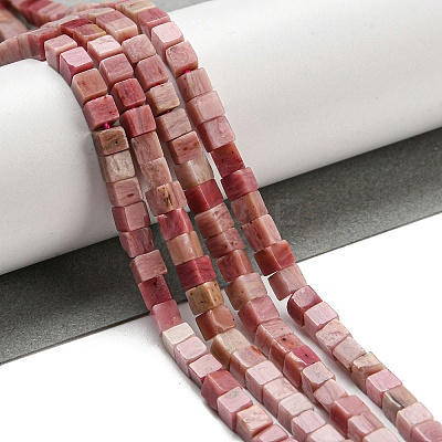 Natural Rhodonite Beads Strands G-C129-A14-01-1