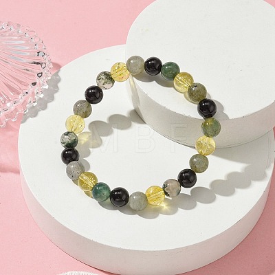 Natural Labradorite & Citrine & Black Onyx(Dyed & Heated) & Moss Agate Round Beaded Stretch Bracelets BJEW-JB10910-06-1