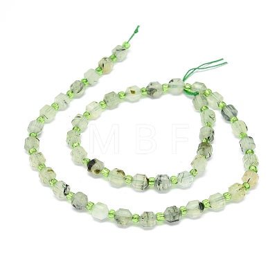 Natural Prehnite Beads Strands G-O201B-19-1