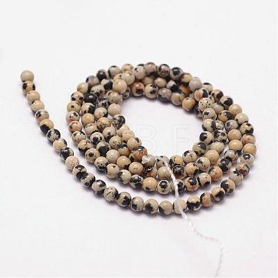 Natural Dalmatian Jasper Beads Strands G-N0183-05-3mm-1