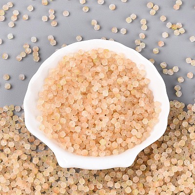 Frosted Glass Seed Beads SEED-N012-01H-1