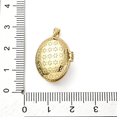 Brass Micro Pave Cubic Zirconia Locket Pendants LS-KK-F912-02G-1