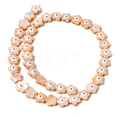 Dyed Natural Freshwater Shell Beads Strands SHEL-A006-03B-1