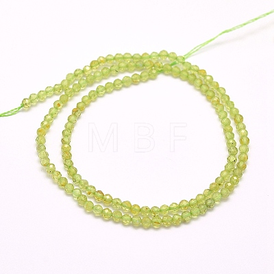 Natural Peridot Beads Strands G-F509-12-3mm-1