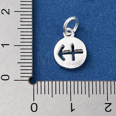 925 Sterling Silver Constellations Charms STER-M118-01A-1