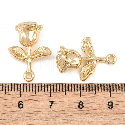 Alloy Pendants AL-CBA83D5-14G-1