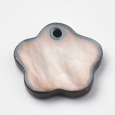 Freshwater Shell Charms SHEL-S269-40-1