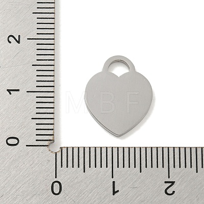 Non-Tarnish 304 Stainless Steel Pendants FIND-M017-01P-N-1