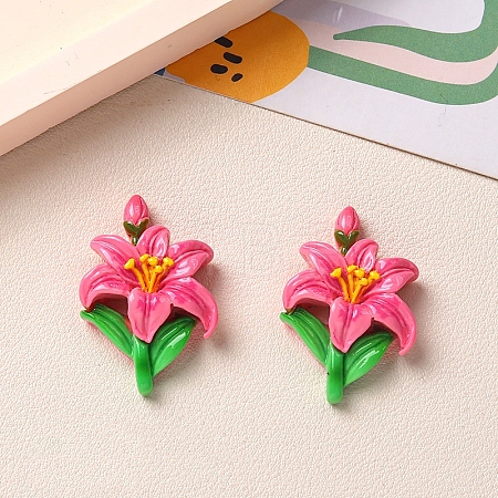 Opaque Resin Cabochons PW-WG0F442-04-1