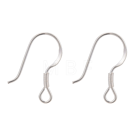 925 Sterling Silver Earring Hooks STER-G011-09-1